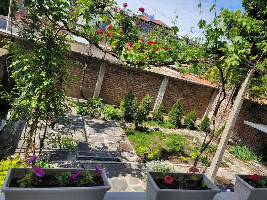 Plovdiv Top Center 2 Bdrm Apartment, 5Min From Central Square & Garden, Free Parking Zewnętrze zdjęcie